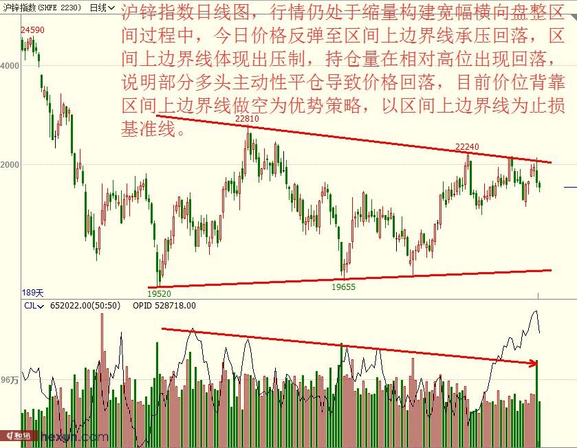 ���ţͯ��3��19�ղ��̲���